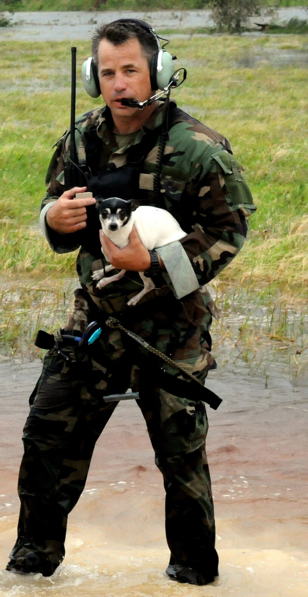 Master Sgt. Doug Kestranek, assigned to a 331st Air Expeditionary Group team who rescued people and pets from the flood waters of Hurricane Ike, brings a dog to safety Sept. 13 in Nederland, Texas.  Sergeant Kestranek is an Air Force Reserve pararescueman assigned to the 920th Rescue Wing at Patrick Air Force Base, Fla. (U.S. Air Force photo/Tech. Sgt. Paul Flipse)