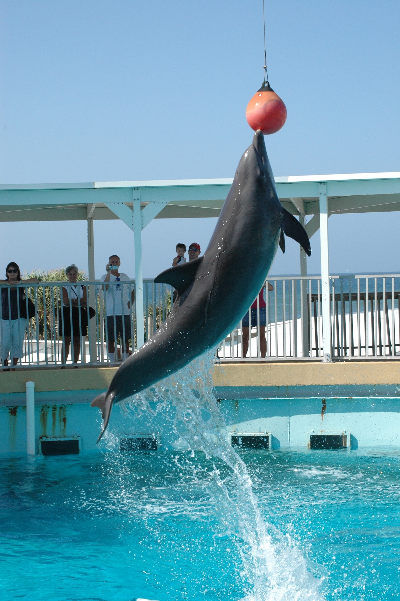 EGLIN AIR FORCE BASE, Fla. -- Several Combined Federal Campaign Key Workers watch as a dolphin leaps out of the water Sept. 10 during the annual CFC Day of Caring event at the Gulfarium. Day of Caring is a training day for CFC Key Workers, personnel who promote the campaign and gather donations from federal employees for the once-a-year funding campaign. The mission of the CFC is to support and promote philanthropy through a voluntary program to provide federal employees the opportunity to improve the quality of life for all. More than 2,300 charitable organizations will participate in CFC this year. (U.S. Air Force photo by Staff Sgt. LuCelia Ball)