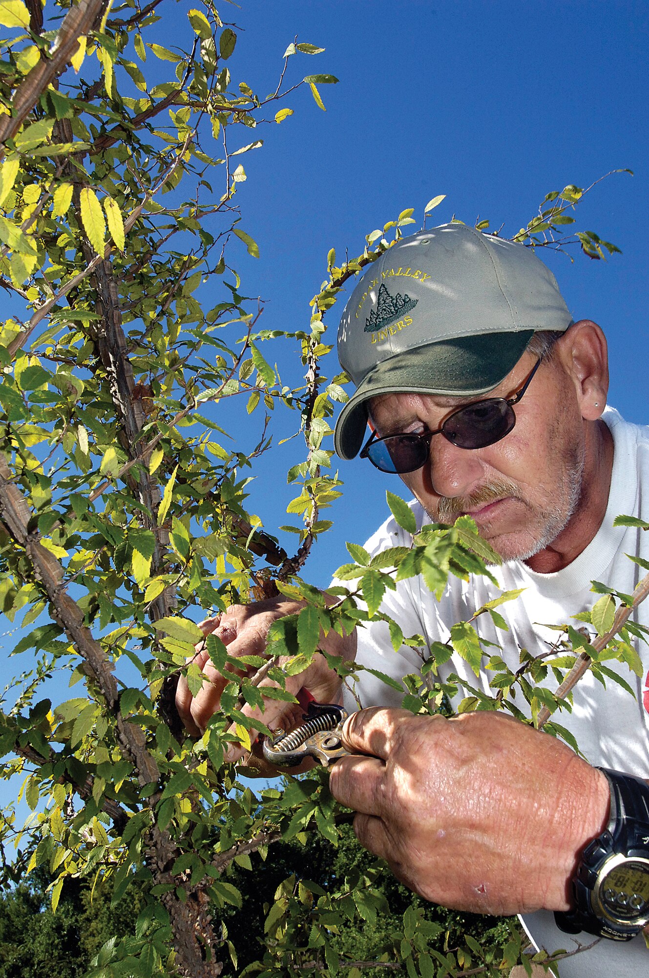 Bruce Sparks prunes a winged elm recently at the Tinker Tree Farm.  Tucked behind homes in base housing, the farm is home to many varieties that will grow from inexpensive seedlings to high-dollar trees ready for planting across Tinker and in the community.  Besides improving the quality of life for Tinker families and workers, each tree planted returns approximately $200 worth of services each year in reducing soil erosion, air pollution and lowering air conditioning costs in summer. (Air Force photo/Margo Wright)
