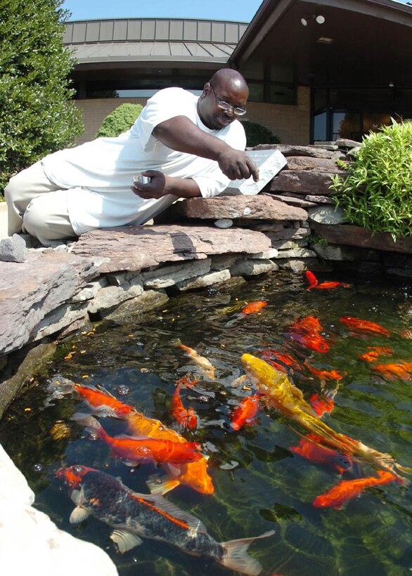 Mr. Tyler performs an 11 a.m. feeding of protein diet pellets to fish at The Courses at Andrews.