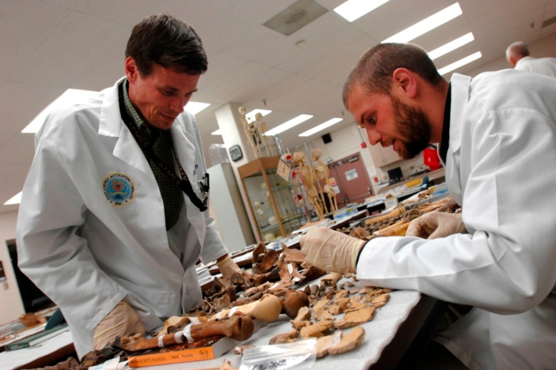 research on forensic anthropologist