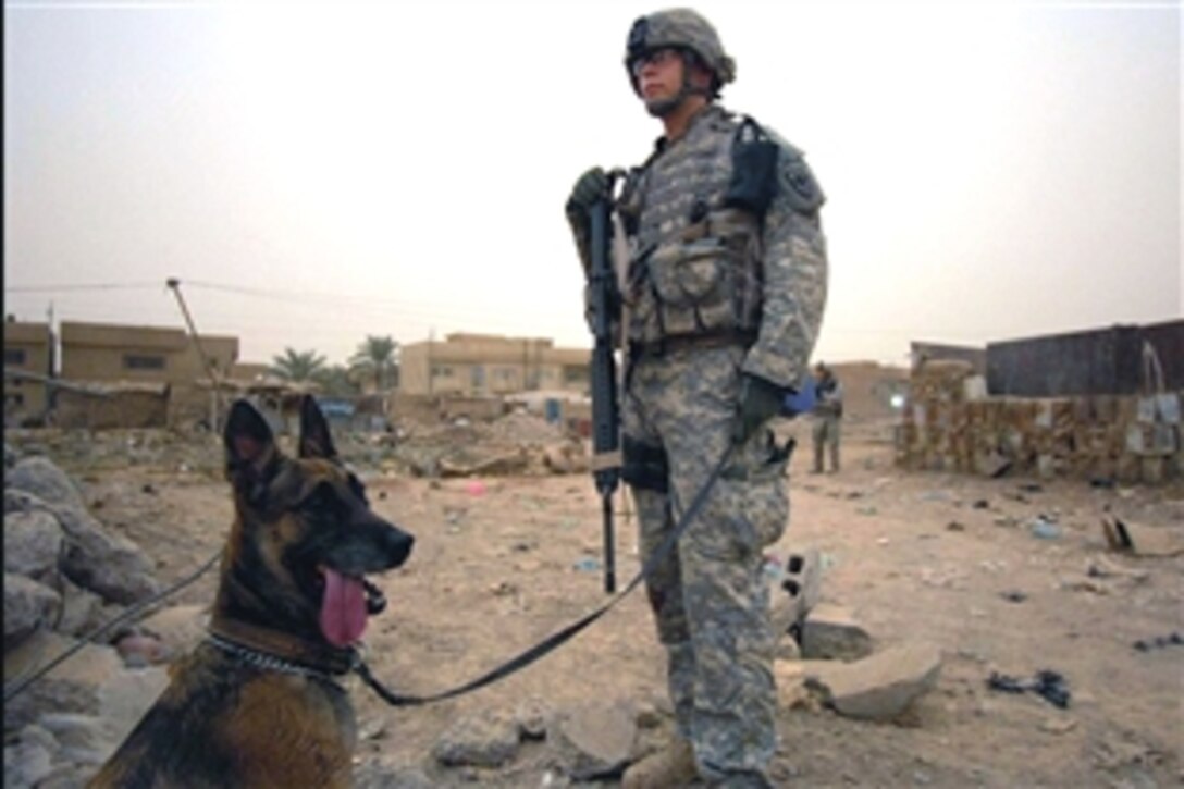 U.S. Army Sgt. Craig Walker and his working dog, Staff Sgt. Carla take a brief break in an open lot while searching for weapons cache in Risalah, Baghdad on Sept. 15, 2008. Walker and Carla, who are assigned to the 4th Infantry Division, got a chance to rest while other soldiers assigned to the 64th Armored Calvary Regiment, 4th Brigade, 3rd Infantry Division patrolled the area.