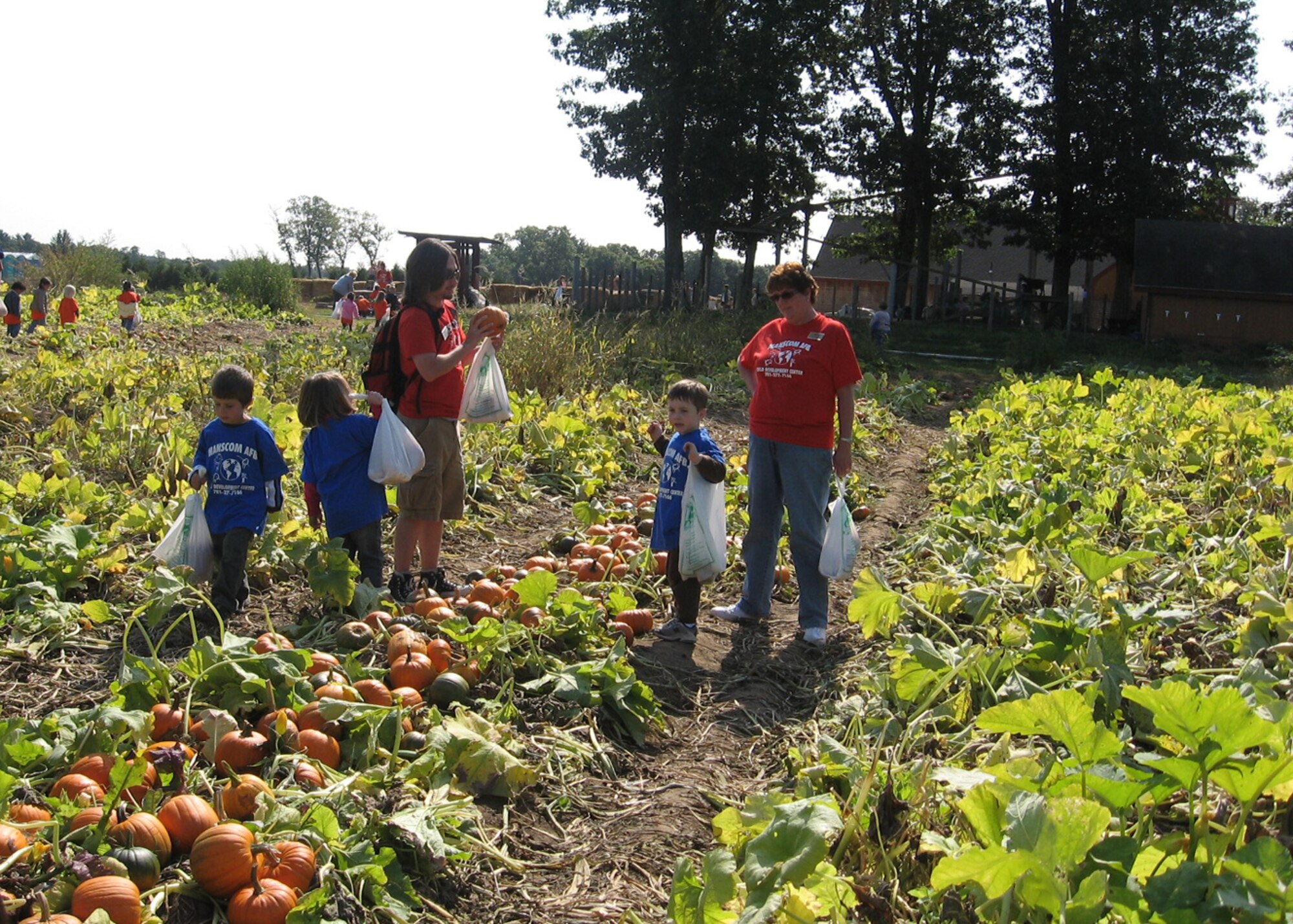 HANSCOM AFB, Mass. -- Hanscom children search for the perfect pumpkin during a Child Development Center field trip to a farm in Tyngsboro, Mass., Sept. 24. (U.S. Air Force photo by Rhonda Siciliano)