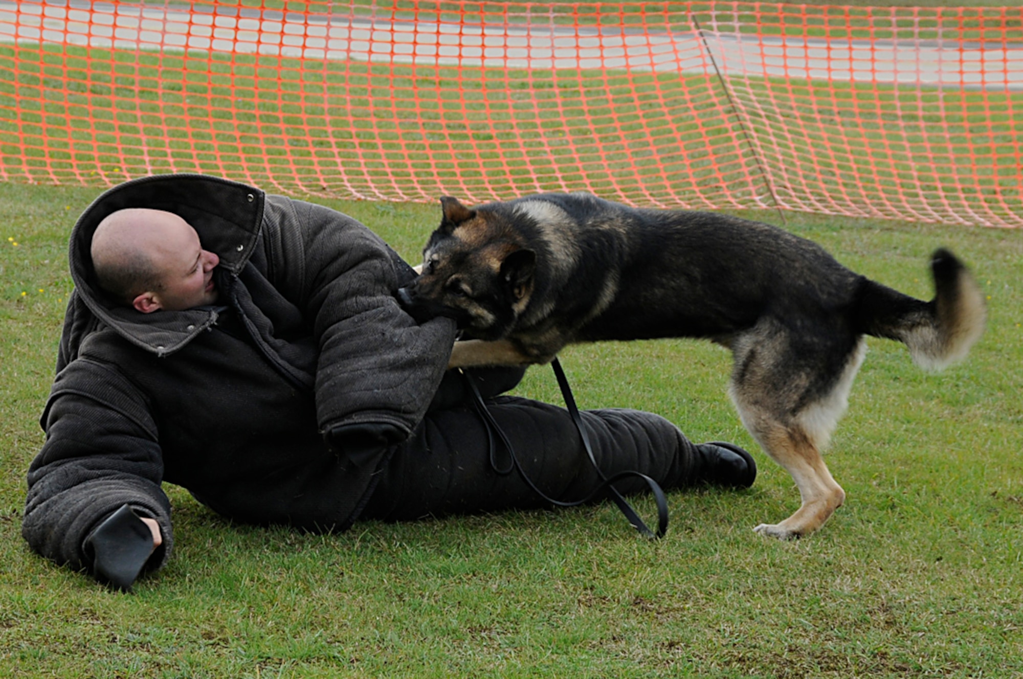 Ronny, 48th Security Forces Squadron military working dog attacks a perpetrator portrayed by Staff Sgt. Samuel Beckett, 48th Security Forces Squadron during the Joint Civilian Orientation Conference at RAF Lakenheath, England, Sept. 23. The military working dog demo allowed attendees to see the importance of the dogs to their handlers and the Air Force. (U.S. Air Force photo by Senior Airman Brian J. Ellis)