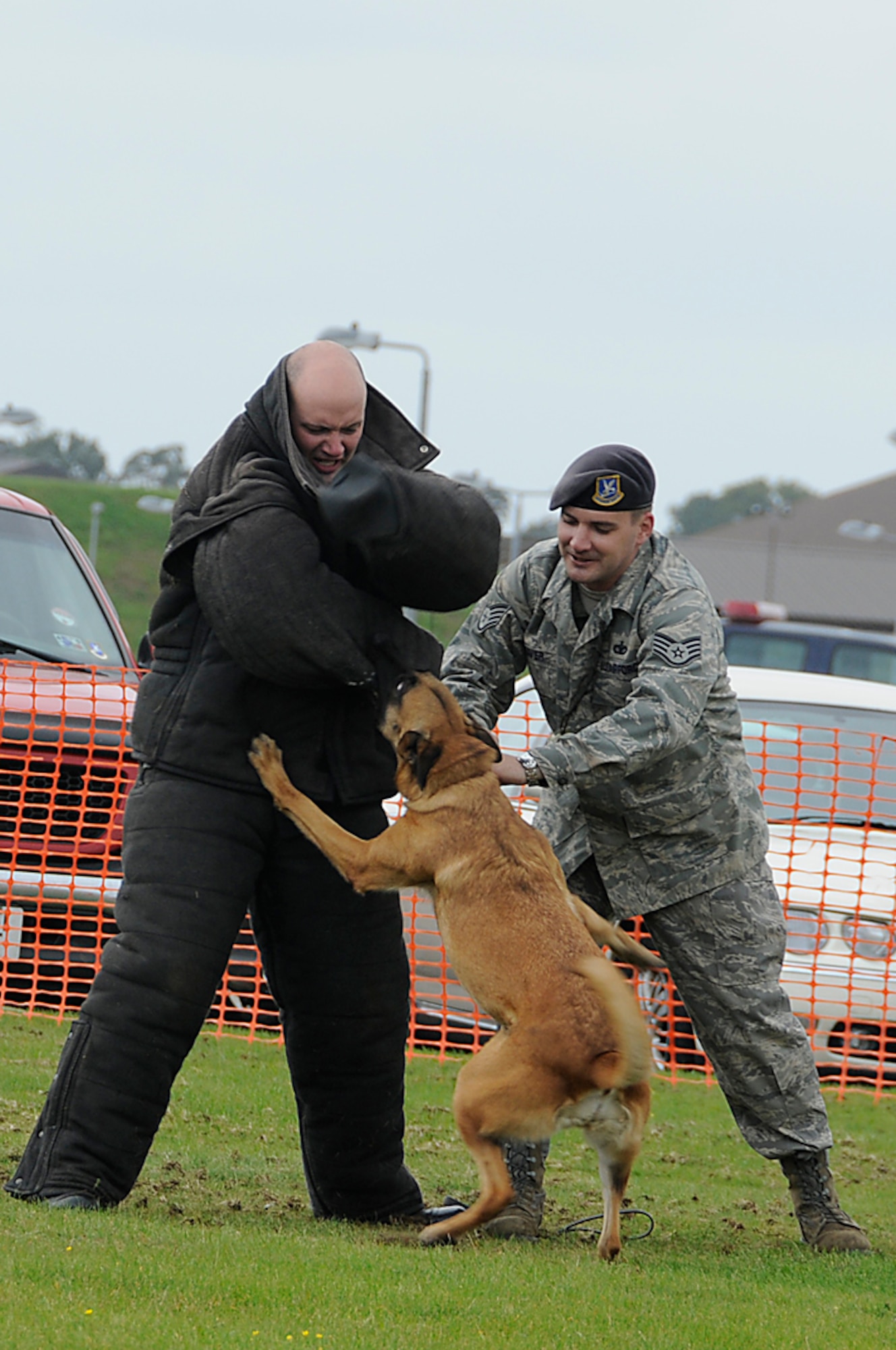Staff Sgt. Samuel Beckett, 48th Security Forces Squadron, gets attacked by Kosja, 48th Security Forces Squadron military working dog, during the Joint Civilian Orientation Conference at RAF Lakenheath, England, Sept. 23. The military working dog demo showcased the dynamic teamwork of K-9's and handlers and thier importance to the Air Force. (U.S. Air Force photo by Senior Airman Brian J. Ellis)