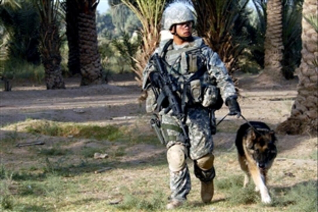 U.S. Air Force Staff Sgt. Paul Cruz and his military working dog conduct patrols through the streets in Risalah, Baghdad, Iraq, Sept. 26, 2008. Cruz and his partner are assigned to the 2nd Platoon, Bravo Company, Bandit 4th Battalion, 64th Armor Regiment, 3rd Infantry Division.
