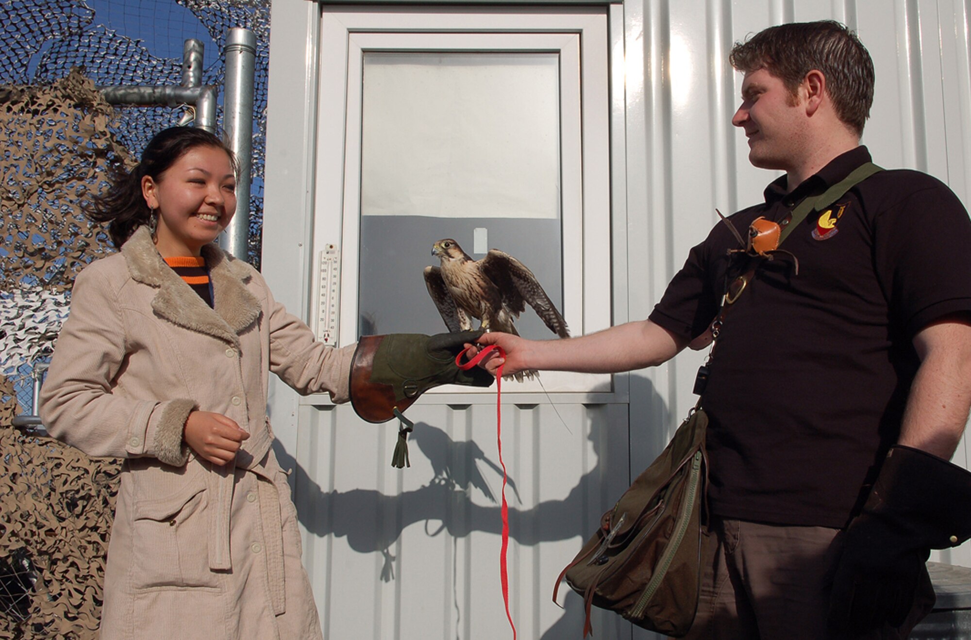 Aiperi Otunchieva holds a falcon named Mustang while the bird's trainer, Alan Marenghi, assists March 25 at Manas Air Base, Kyrgyzstan. Ms. Otunchieva, a 19-year-old sophomore at the American University of Central Asia, visited Manas AB with 12 other students and faculty for an orientation tour and dinner hosted by the 376th Air Expeditionary Wing Public Affairs Office. Mr. Marenghi is a contractor from England who maintains two falcons who play keep the flightline clear of birds that could potentially damage the aircraft on the base. (U.S. Air Force/Tech. Sgt. Phyllis Hanson) 
