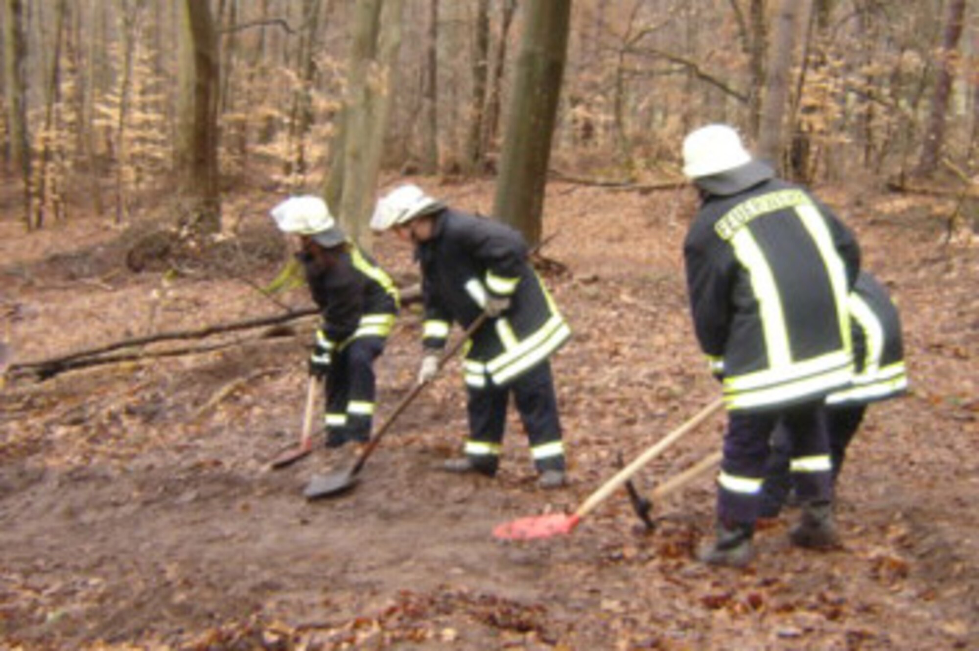 WEIDENTHAL, Germany – Young Weidenthal fire department volunteer remove brush from an over-grown trail in their village March 28, 2009. Despite the rainy weather the Saber Cycling Club, Ramstein Area Cycling Club and villagers were able to clear the previously abandoned section of trail for cyclists, hikers and equestrians. (Courtesy photo)