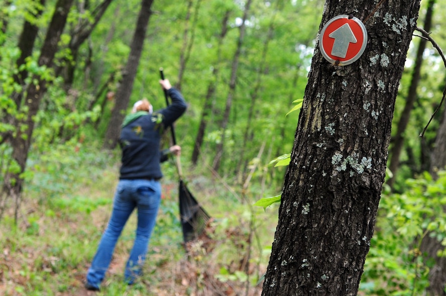 A trail restoration volunteer rakes leaves from the path of the Big Tree Hiking Trail. The trail is a total of 10 miles in length, volunteers hand raked the entire trail.(U.S. Air Force photo by Senior Airman Joanna M. Kresge)