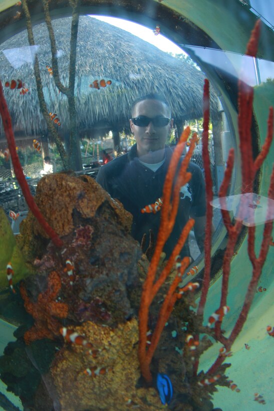 Lance Cpl. Aaron Kristopik, a paralegal clerk with the Combat Center’s Staff Judge Advocate and a native of New Britain, Conn., looks through a fish tank designed as a porthole on a ship April 4 during his expedition to SeaWorld, San Diego.