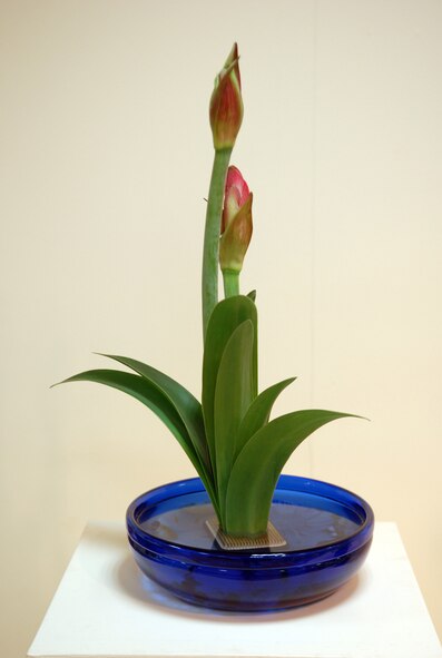 An ikebana flower arrangement by Keiko Nakajima Robbins, founding member of Okinawaís Ikebana International since 1956 and ikebana teacher at the Kadena USO is displayed at the 51st Ikebana International Okinawa Chapter Charity 10 Flower Exhibition March 27-29.  Ms. Robbins teaches many people from different bases in Okinawa.  In October, the Ikebana International Okinawa Chapter and some students from the Kadena USO will go to the White House in Washington, D.C., for a flower demonstration and lecture. (U.S Air Force photo/Junko Kinjo)