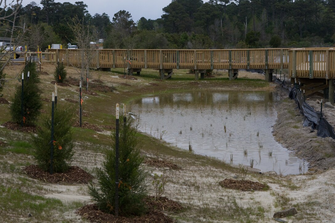 Pictured here is part of the New River Estuarine Wetland Restoration project near the N.C. Highway 172/ Sneads Ferry Gate. One of the purposes of this project was to restore estuarine wetland habitats on the installation and create and aesthetically pleasing overlook or wildlife viewing area of the New River.