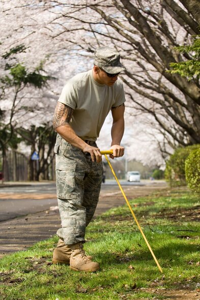 YOKOTA AIR BASE, Japan -- Staff Sgt. Noah Villanueva, 374th Civil Engineer Squadron utilities system journeyman, searches for the location of a water valve under cherry blossom trees April 7. (U.S. Air Force photo/Osakabe Yasuo)