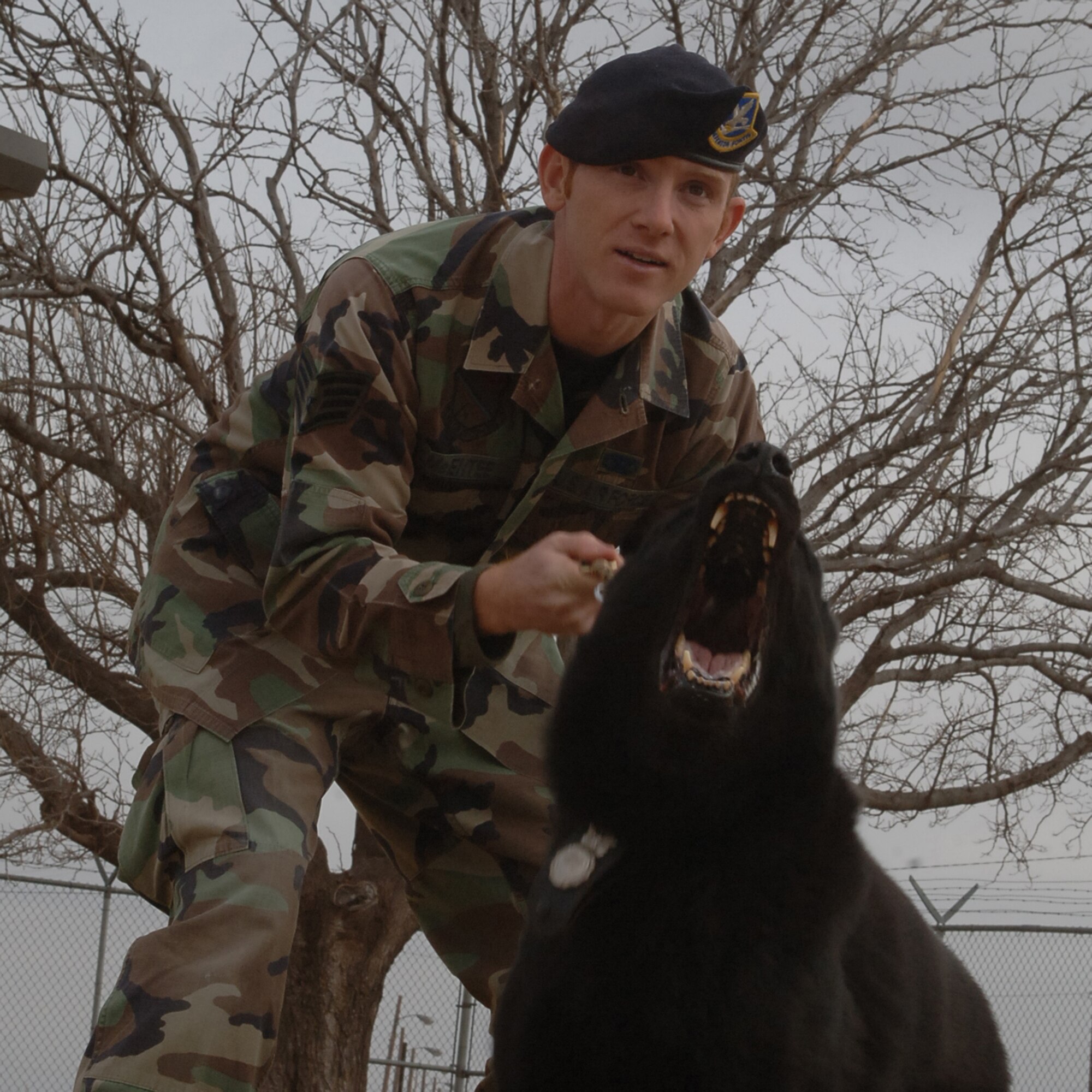 DYESS AIR FORCE BASE, Texas - Staff Sgt. Timothy McEntee trains with his dog, Cierney. (U.S. Air Force photo by Senior Airman Felicia Juenke)