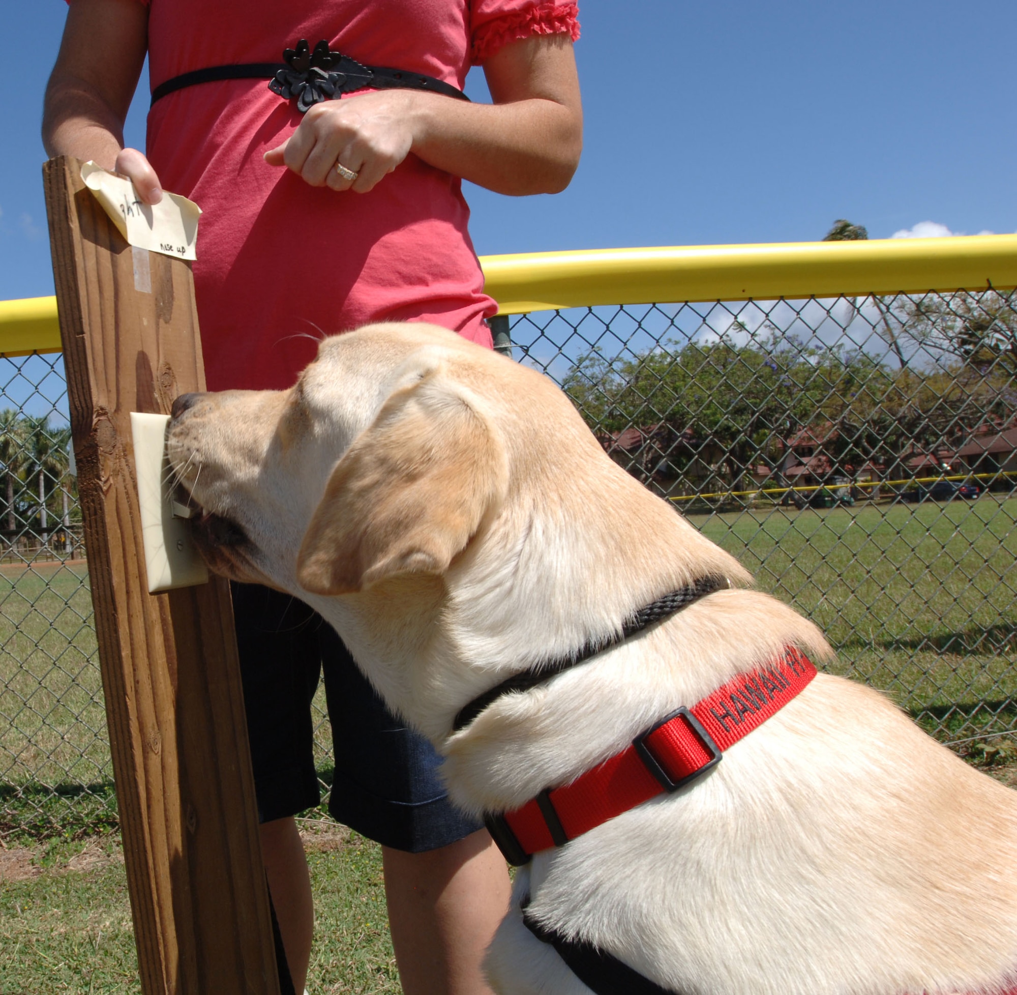 Finnegan, a service dog in training, practices operating a light switch on command. His trainer, Hickam Air Force Base resident Kristen Ness, volunteers her time training service dogs to help wounded wariors. (U.S. Air Force photo/Oscar A. Hernandez)