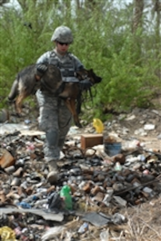 U.S. Army Sgt. Evans from the 2nd Brigade Combat Team, 1st Infantry Division carries Uwe, his military working dog, over a garbage dump in the city of Abu Ghraib, Iraq, while searching for weapons caches on March 21, 2009.  
