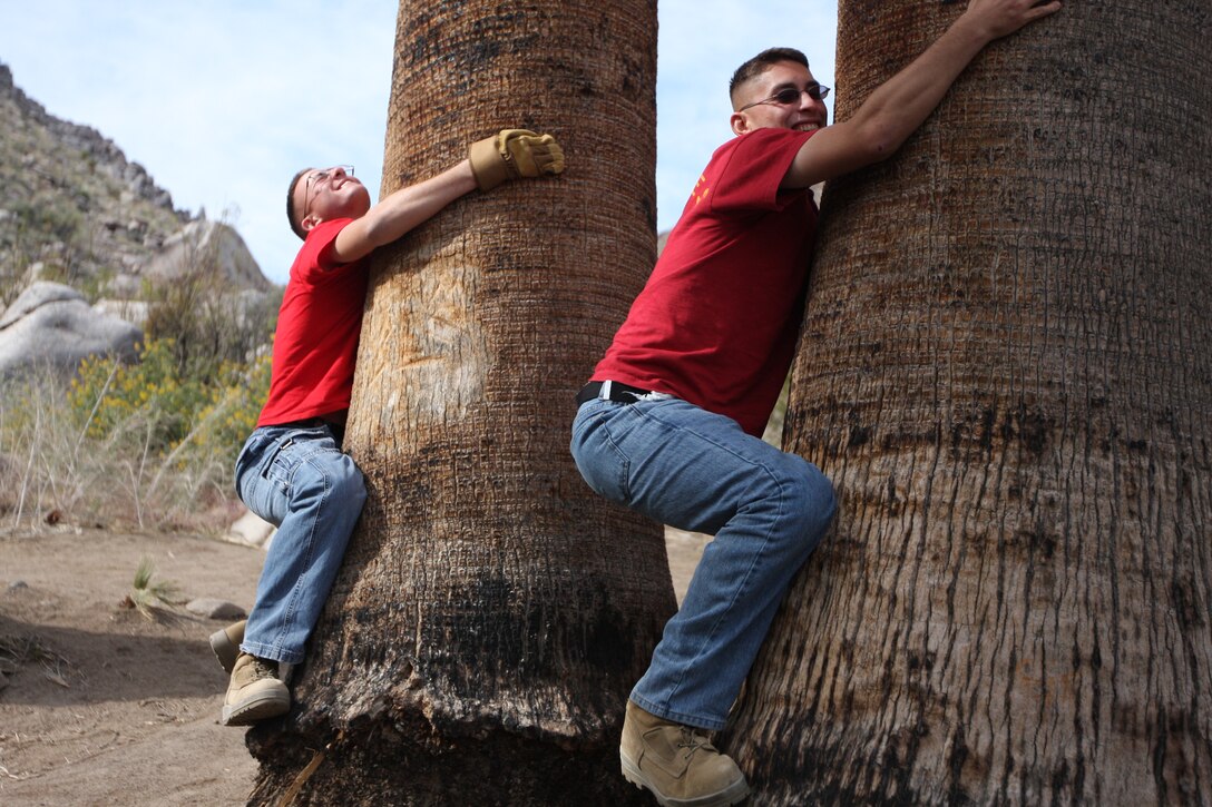 Lance Cpl. Andrew Stets (right), and a fellow Marine Corps Communications-Electronics School student show that Marines too can be tree-huggers as they clean up the 49 Palms Oasis area April 10.