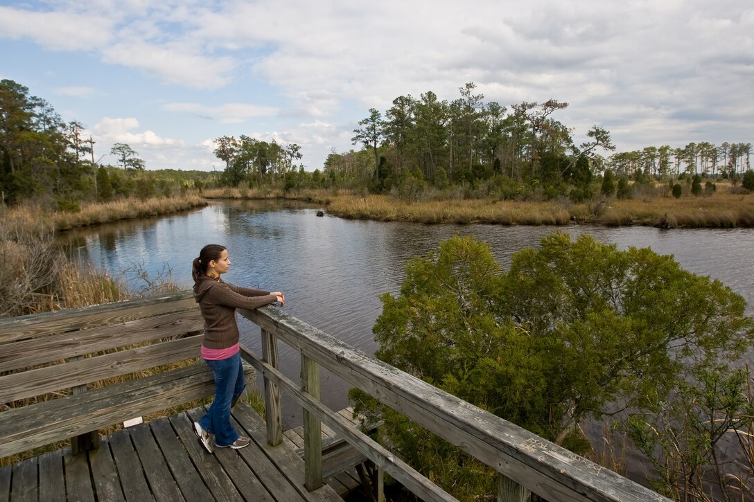 Located less than two hours from Camp Lejeune, Goose Creek State Park offers beautiful views, recreational opportunities and a chance to get out in nature at a surprisingly low cost. The park spans 1,700 acres of wetlands in Beaufort County, east of Washington, N.C. Military members and their families may enjoy the park’s reasonable camping options, environmental education and children’s programs.