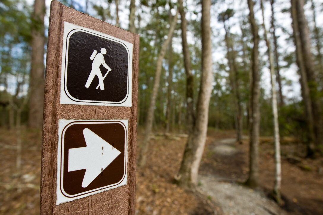 Hiking can be a simple and free way to get some exercise and enjoy the outdoors. Located less than two hours from Camp Lejeune, Goose Creek State Park offers beautiful views, recreational opportunities and a chance to get out in nature at a surprisingly low cost. The park spans 1,700 acres of wetlands in Beaufort County, east of Washington, N.C. Military members and their families may enjoy the park’s reasonable camping options, environmental education and children’s programs.