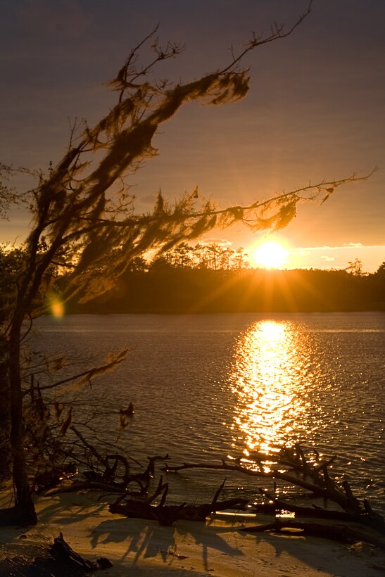 The sun sets over one of Goose Creek State Park's natural sand beaches. Located less than two hours from Camp Lejeune, Goose Creek State Park offers beautiful views, recreational opportunities and a chance to get out in nature at a surprisingly low cost. The park spans 1,700 acres of wetlands in Beaufort County, east of Washington, N.C. Military members and their families may enjoy the park’s reasonable camping options, environmental education and children’s programs.