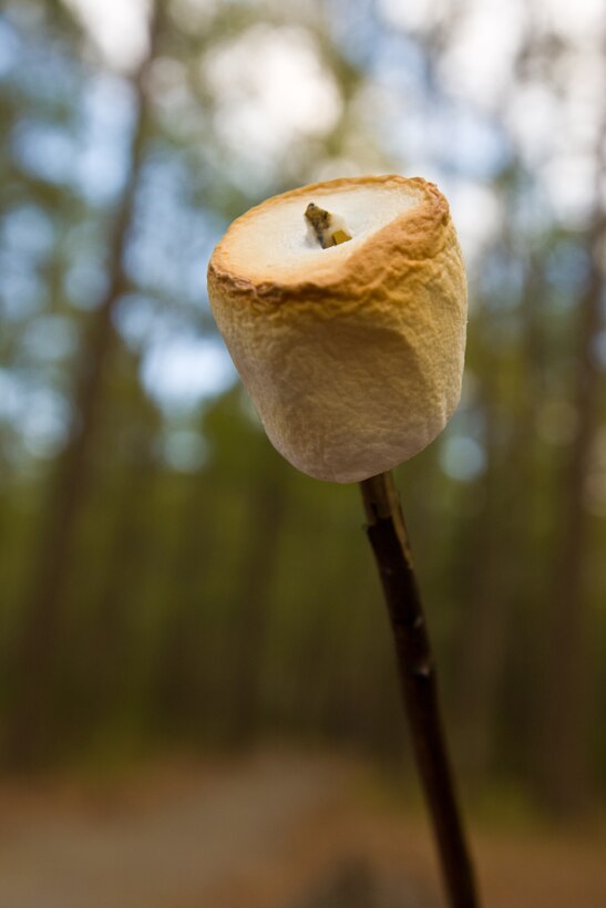 Roasted marshmallows can be a fun and free options for military families during the summer travel season. Located less than two hours from Camp Lejeune, Goose Creek State Park offers beautiful views, recreational opportunities and a chance to get out in nature at a surprisingly low cost. The park spans 1,700 acres of wetlands in Beaufort County, east of Washington, N.C. Military members and their families may enjoy the park’s reasonable camping options, environmental education and children’s programs.