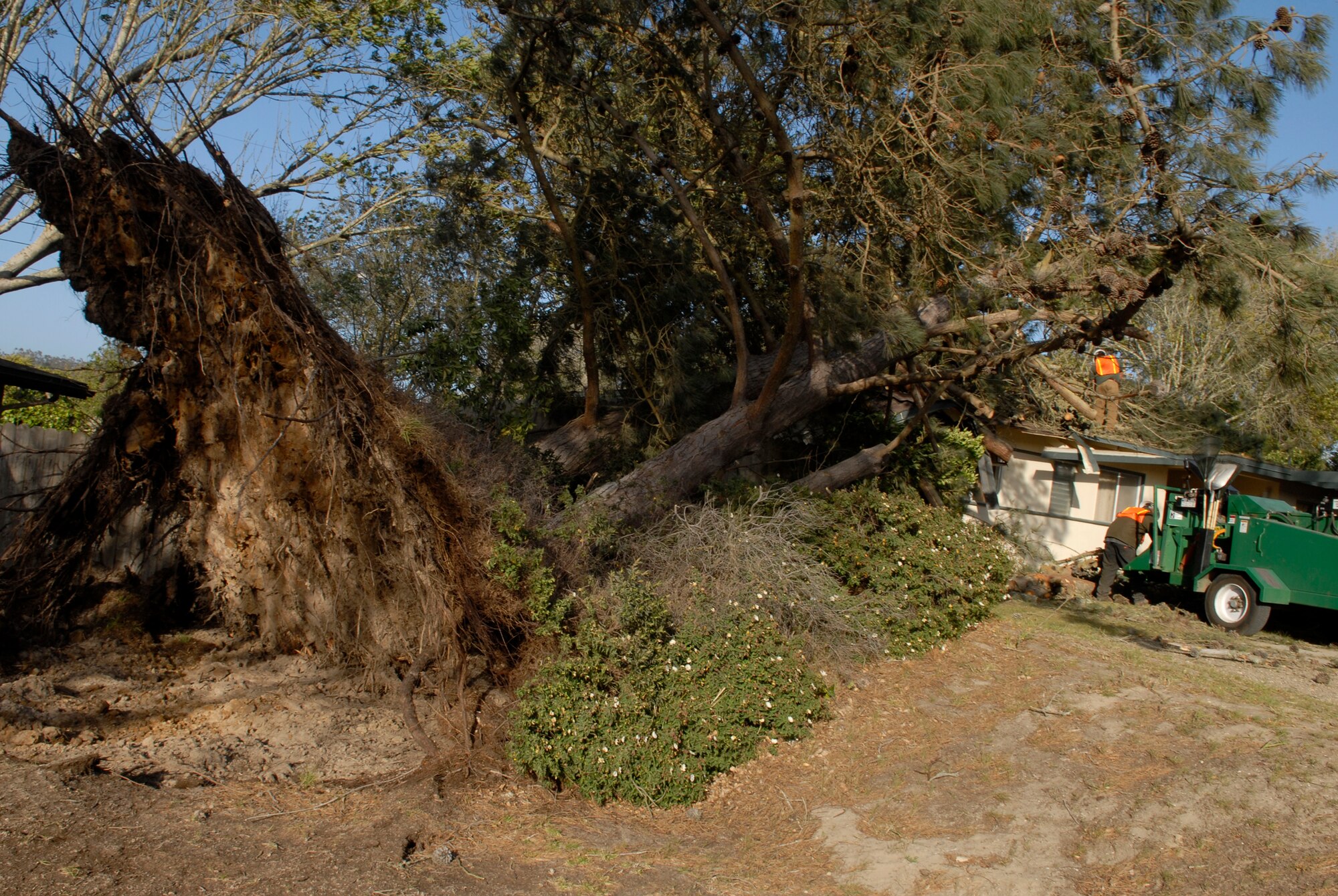 VANDENBERG AIR FORCE BASE, Calif. --  A tree fell onto a house here April 13, injuring a military dependent. One tree limb penetrated the roof of the house, crashing into the bathroom. The cause of the fall is currently under investigation. (U.S. Air Force photo/Senior Airman Christian Thomas)