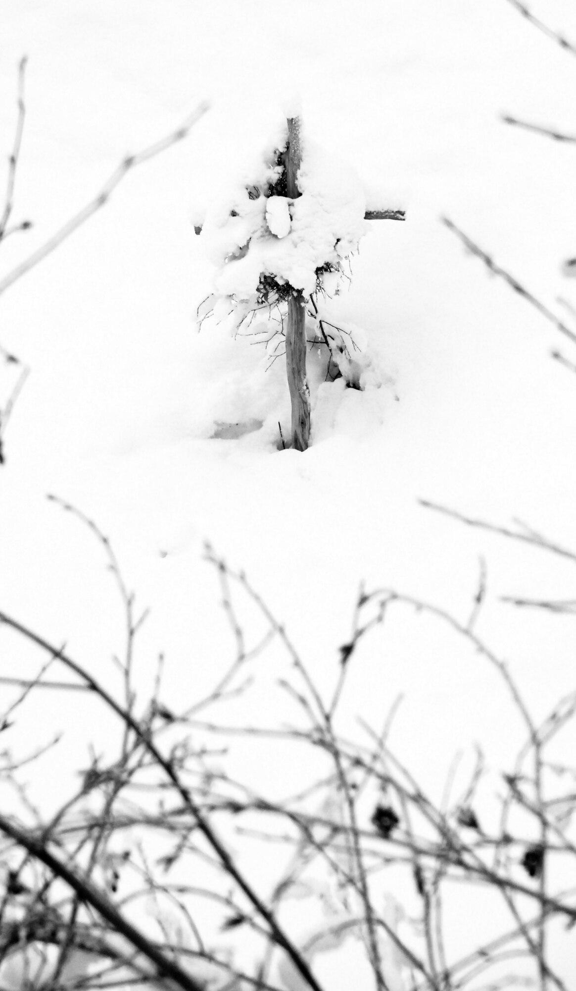 Blanketed in snow, a small wooden cross on the side of a road in Alaska serves as a peaceful reminder of a time when, for one Airman and his new wife, life was anything but peaceful.  During the days following his mother-in-law's fatal car crash in Sept. 2006, the Air Force Assistance Fund helped get Staff Sgt. Austin M. May's wife, Kaitie, home to her family, taking a huge source of stress out of a trying time. (Contributed photo)