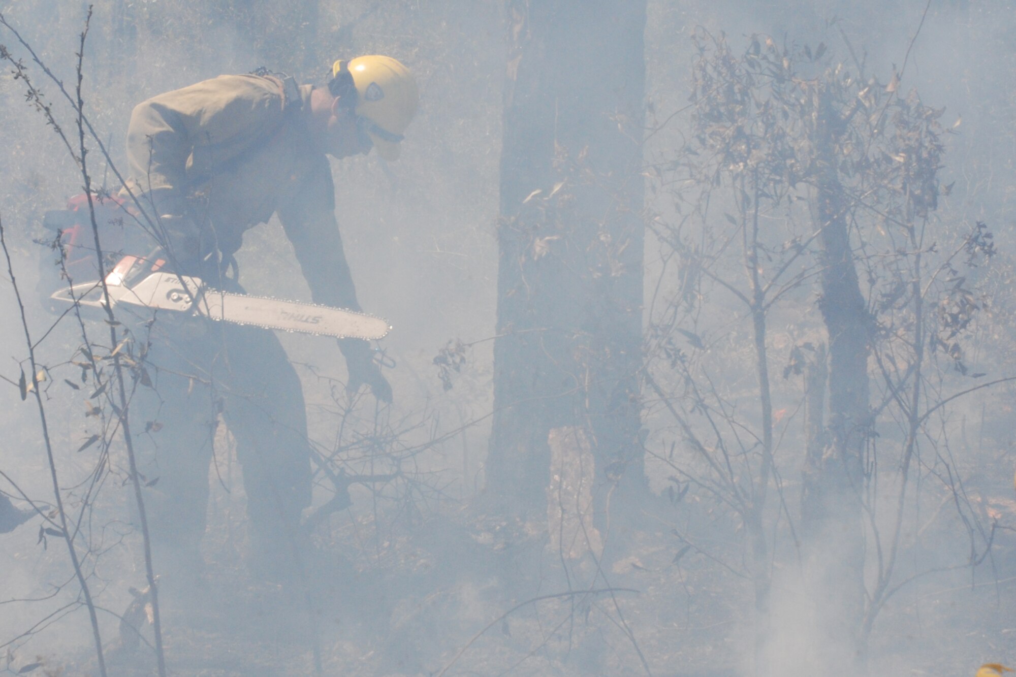EGLIN AIR FORCE BASE, Fla. -- Brooks Mabery, Vandenberg Air Force Base, Calif., Hot Shots crew member, cuts down a dead tree during a prescribed burn mop up operations April 8. The fire was called off early because of rapidly changing weather conditions and wildlife habitat endangerment. The Hot Shots come to Eglin annually to train alongside the fire management technicians at Jackson Guard. The fire management technicians at Jackson Guard's Natural Resources branch uses prescribed fire techniques to keep a delicate longleaf pine ecosystem thriving while keeping the military mission a priority year round. (U.S. Air Force photo/Mike Meares)
