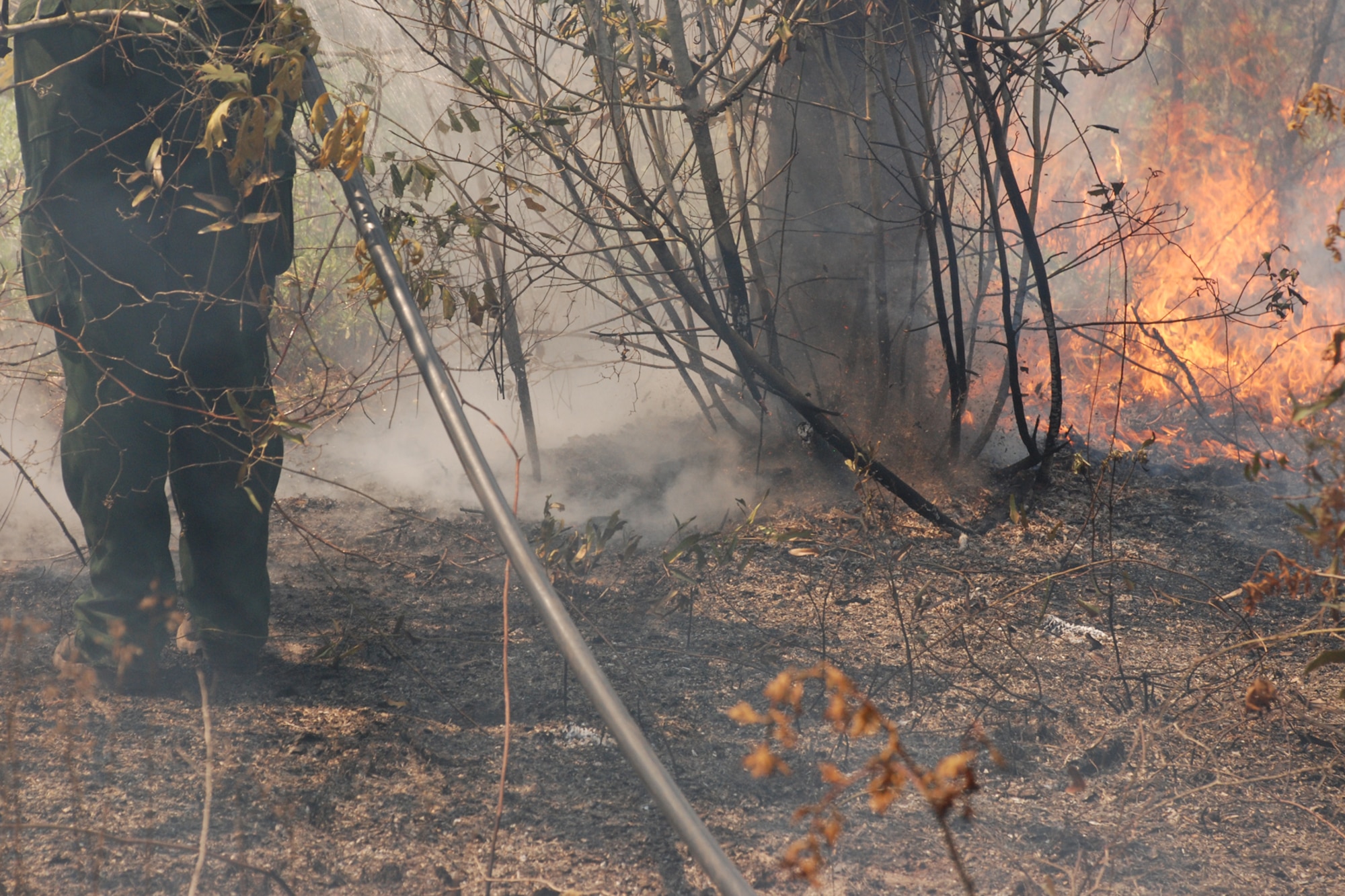 EGLIN AIR FORCE BASE, Fla. -- Amy Galetka, Eglin Natural Resources prescribed fire program technician, works to prematurely extinguish a fire line during prescribed burn operations April 8. The fire management technicians at Jackson Guard use prescribed fire techniques to keep a delicate longleaf pine ecosystem thriving while keeping the military mission a priority year round. Eglin is the largest Air Force base in the U.S. with more than 464,000 acres of land, and is home to more than 77 state and federally listed rare species. With more than 100,000 acres burned last season, the goal is to burn a five-year average of 70,000 acres per year. So far this season, the fire management program has burned more than 76,000 acres. The April 8 fire was called off early because of rapidly changing weather conditions and wildlife habitat endangerment. (U.S. Air Force photo/Mike Meares)