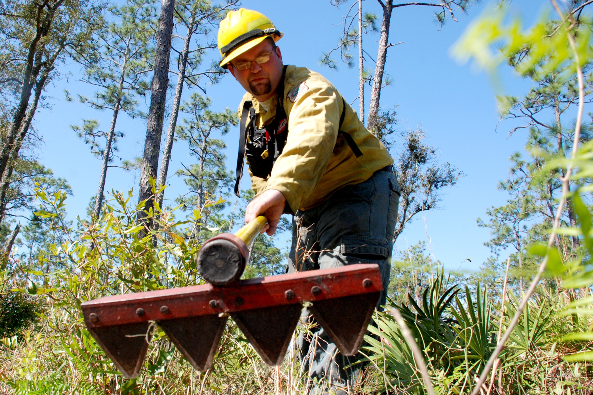 EGLIN AIR FORCE BASE, Fla. -- Jeremy Preston, Eglin Natural Resources wildlife section biological science technician, clears out the fuels at the base of a longleaf pine tree with a red cockaded woodpecker nest bored into the side April 8. The RCW is a protected species and requires special care during prescribed burns. The bird bores holes into the tree to get the sap flowing as a protection measure for their nest, making it probable for fire to reach their nest. The fire management technicians at Jackson Guard's Natural Resources branch uses prescribed fire techniques to keep a delicate longleaf pine ecosystem thriving while keeping the military mission a priority year round. Eglin is the largest Air Force base in the U.S. with more than 464,000 acres of land, and is home to more than 77 state and federally listed rare species. (U.S. Air Force photo/Mike Meares)