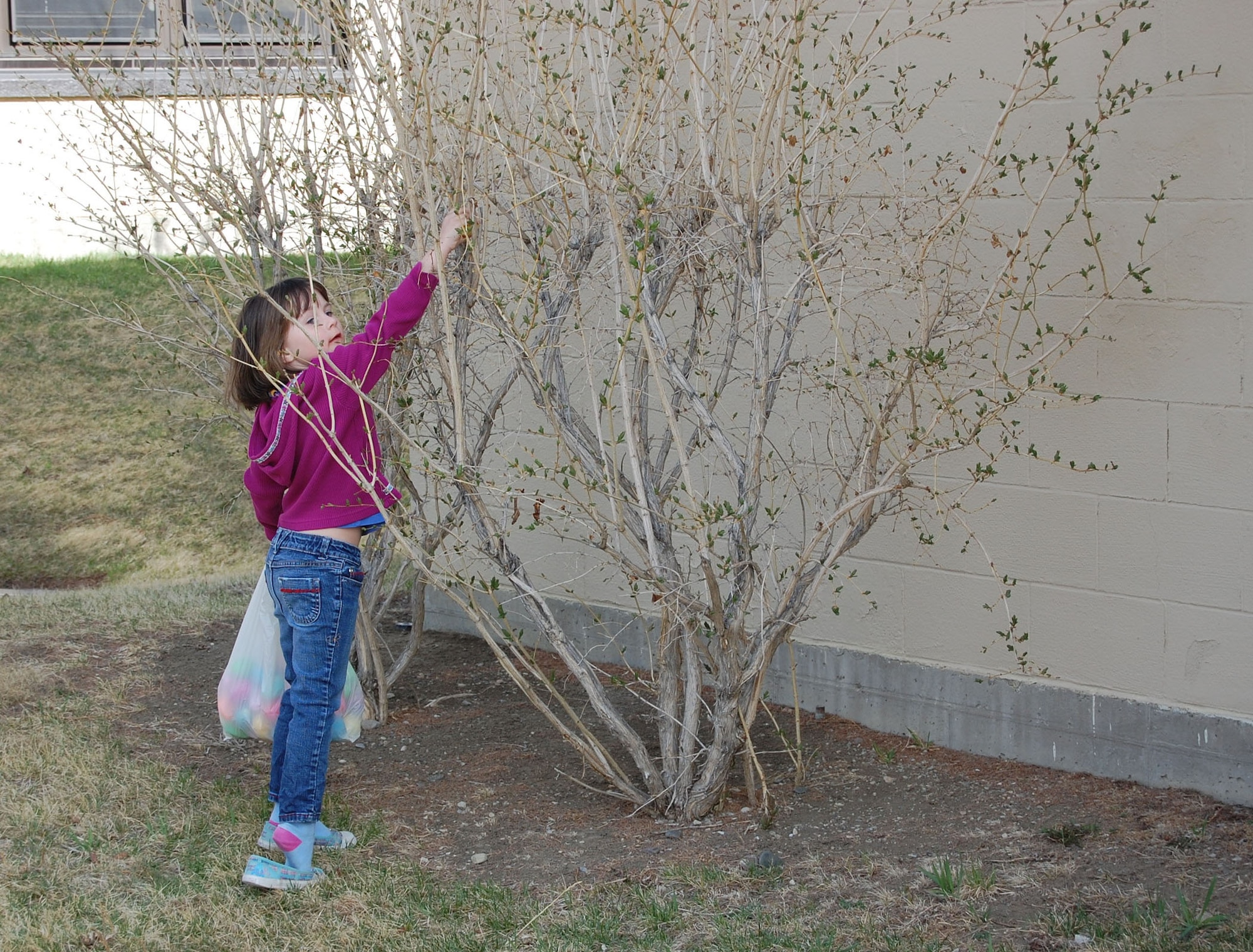 Kylie, 6, finds an Easter egg nestled in a shrub outside the base chapel April 11. More than 30 children searched the chapel grounds for more than 500 plastic eggs filled with candies and Bible verses. The Easter egg hunt is an annual event hosted by the 341st Missile Wing chapel staff. (U.S. Air Force photo/Staff Sgt. Eydie Sakura)