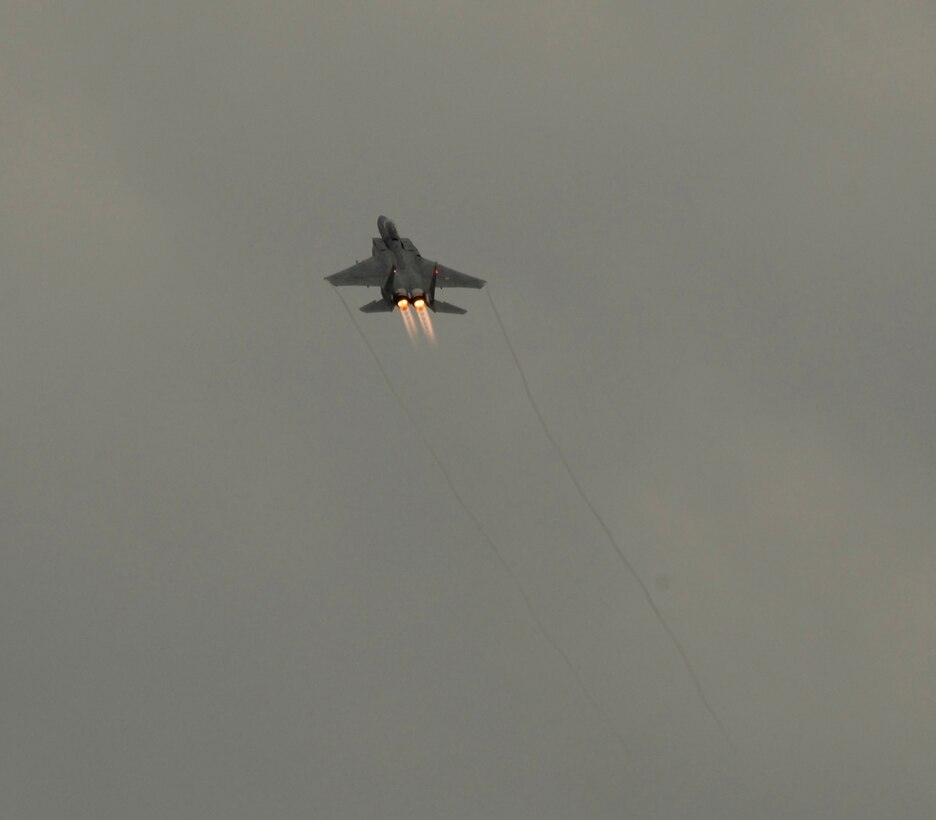 Lieutenant Col. Richard Dill flies the F-15 that Mr. George Hoffman is riding in.  Mr Hoffman was invited to the 125th Fighter Wing, Jacksonville, Fla., as a distinguished visitor on April 14, 2009.