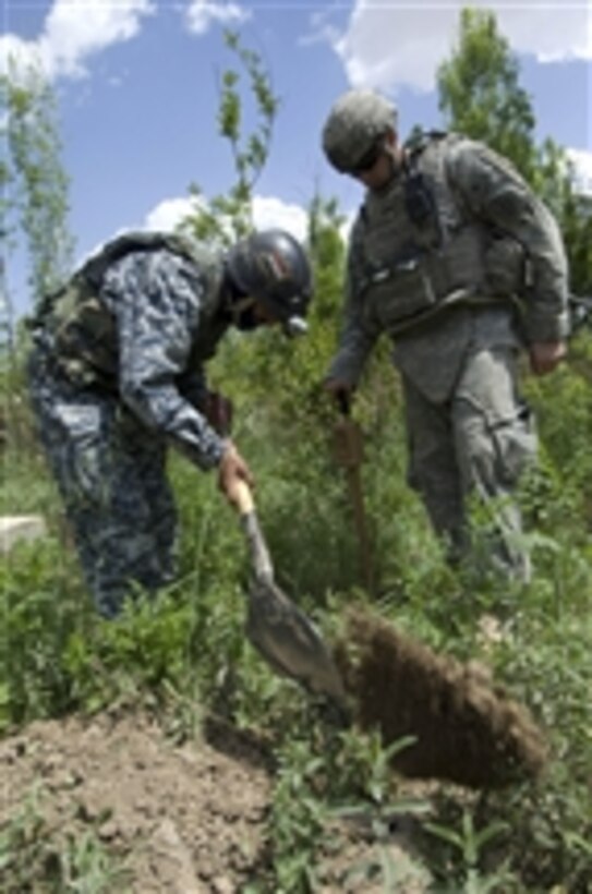 U.S. Army Sgt. Scott Lawrence (right) and an Iraqi policeman clear a section of a palm grove searching for arms caches in Jazeera, Iraq, on April 11, 2009.  Lawrence is from Charlie Company, 3rd Battalion, 21st Infantry Regiment, 1st Stryker Brigade Combat Team, 25th Infantry Division.  