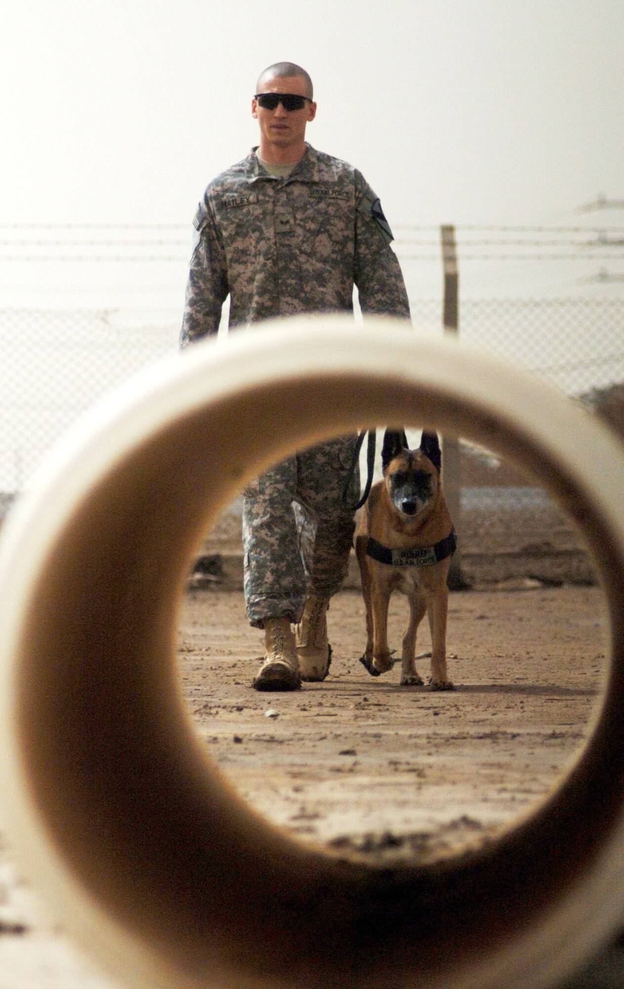 Senior Airman William Bailey prepares to let Robby, his nine-year-old Belgian Malinois, complete an obstacle as part of their daily training at Camp Taji, Iraq. Airman Bailey is a military working dog handler attached to the Army's 1st Calvary Division.  (U.S. Air Force photo/Staff Sgt. Dilia Ayala)