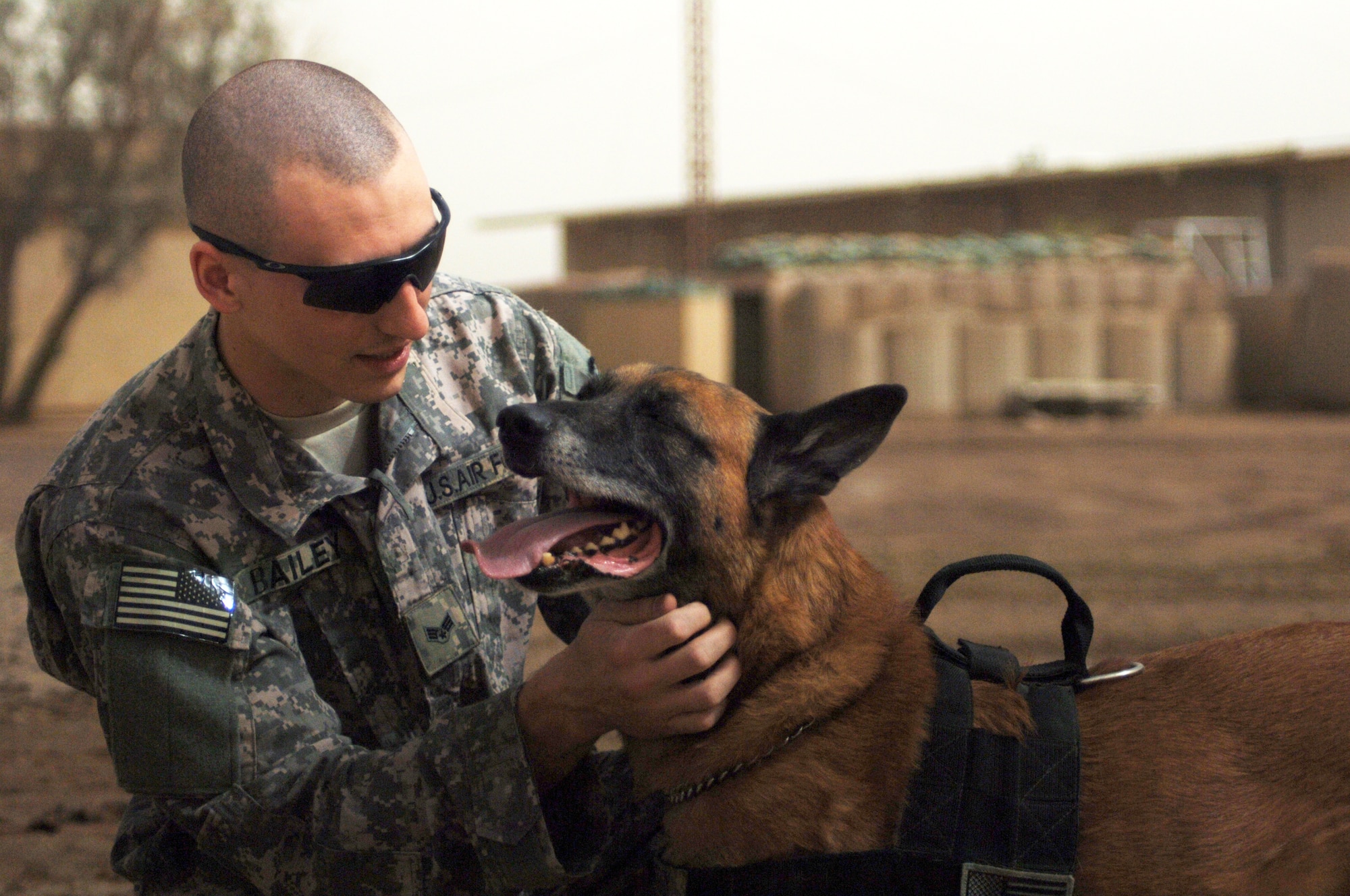 Senior Airman William Bailey praises Robby, his nine-year-old Belgian Malinois, after he successfully completed an obstacle course as part of daily training at Camp Taji, Iraq. Airman Bailey is a military working dog handler attached to the Army's 1st Calvary Division. (U.S. Air Force photo/Staff Sgt. Dilia Ayala)