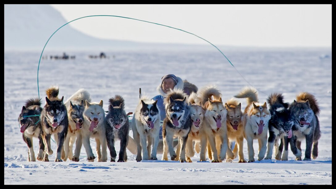 are huskies allowed on military bases