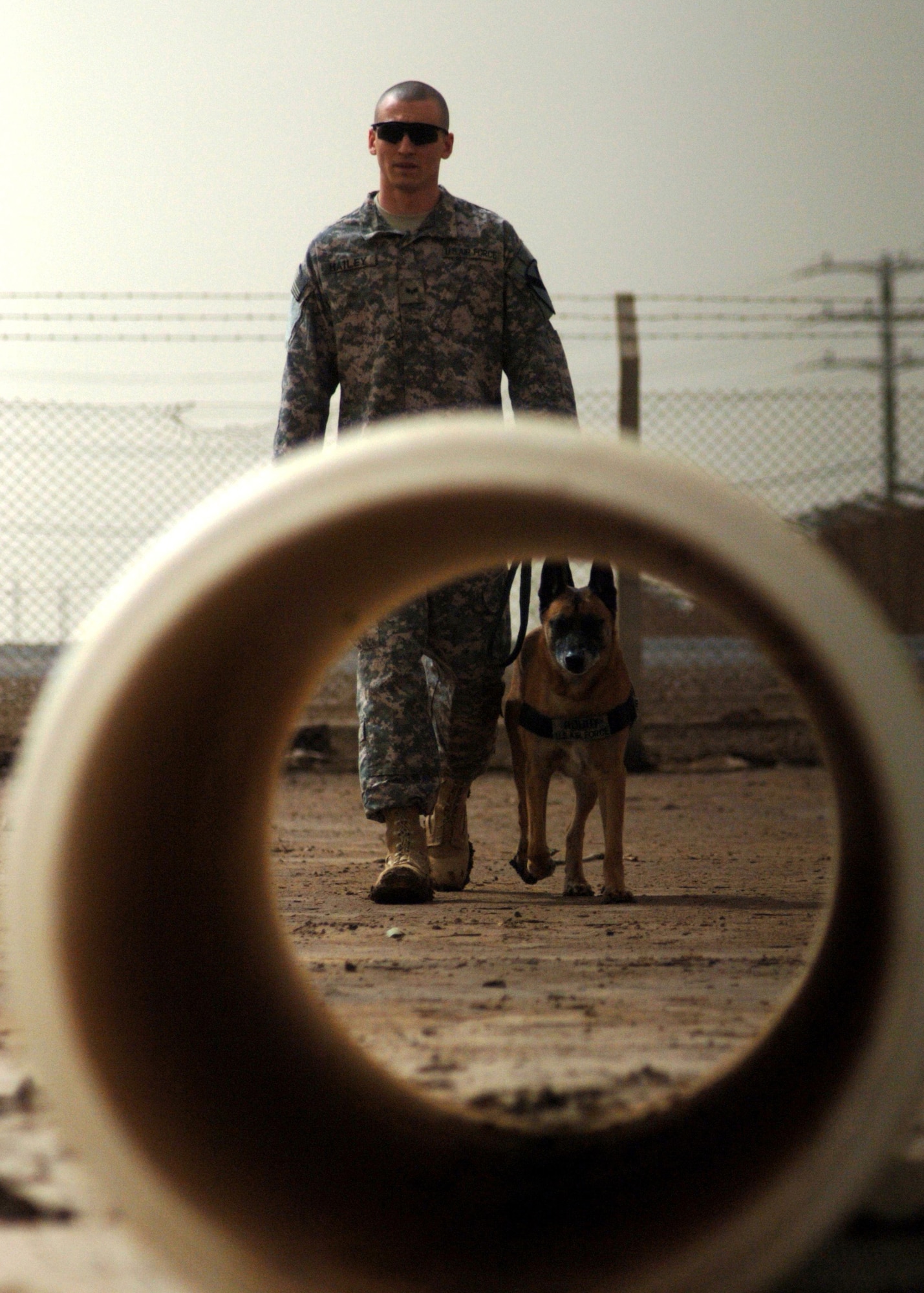 CAMP TAJI, Iraq -- Senior Airman William Bailey, a military working dog handler and Joint Expeditionary Tasking Airman from the 732nd Air Expeditionary Group attached to the Army's 1st Calvary Division, prepares to let Robby, his nine-year-old Belgian Malinois patrol, explosives detector dog, complete an obstacle as part of their daily training here. Airman Bailey and Robby are deployed here from the 4th Security Forces Squadron, Seymour Johnson Air Force Base, N.C. Airman Bailey is a native of Richmond, Va. (U.S. Air Force photo/Staff Sgt. Dilia Ayala)