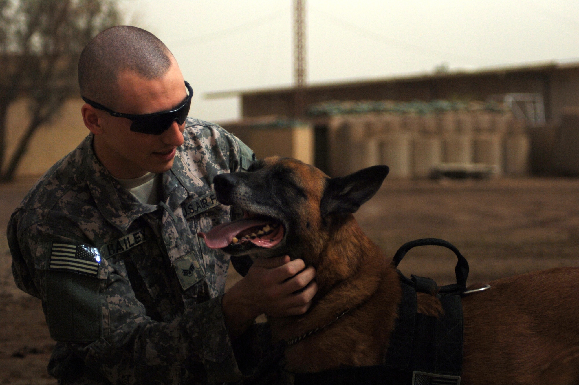 CAMP TAJI, Iraq -- Senior Airman William Bailey, a military working dog handler and Joint Expeditionary Tasking Airman from the 732nd Air Expeditionary Group attached to the Army's 1st Calvary Division, praises Robby, his nine-year-old Belgian Malinois patrol, explosives detector dog, after he successfully completed an obstacle course as part of daily training here. Airman Bailey and Robby are deployed here from the 4th Security Forces Squadron, Seymour Johnson Air Force Base, N.C. Airman Bailey is a native of Richmond, Va. (U.S. Air Force photo/Staff Sgt. Dilia Ayala)