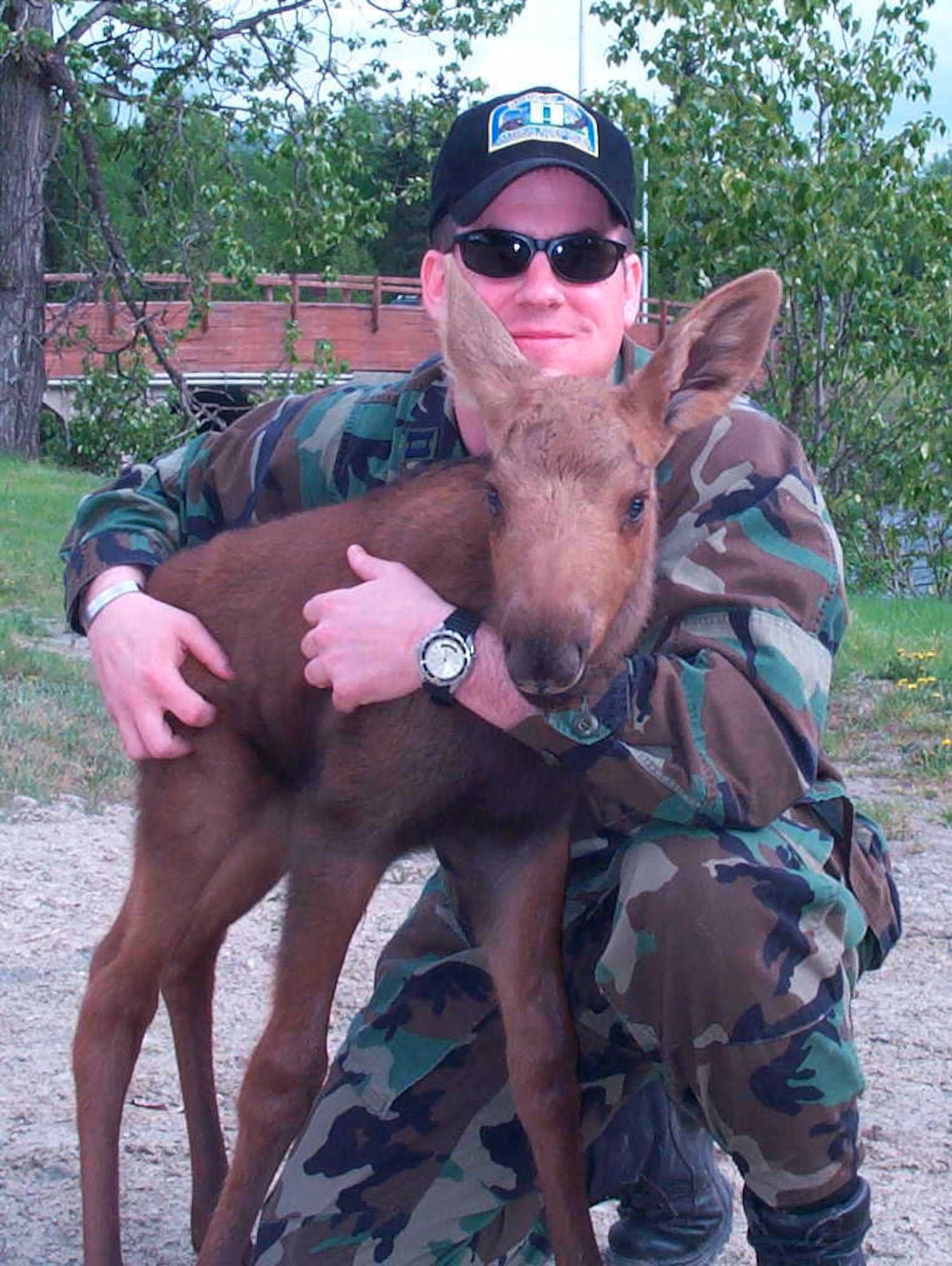 A moose calf separated from its cow by fencing is captured to be re-united. MCAs typically respond to more than 200 wildlife calls annually. MCA training includes conservation law enforcement, the use of specialized weapons and tactics, and wildlife response.