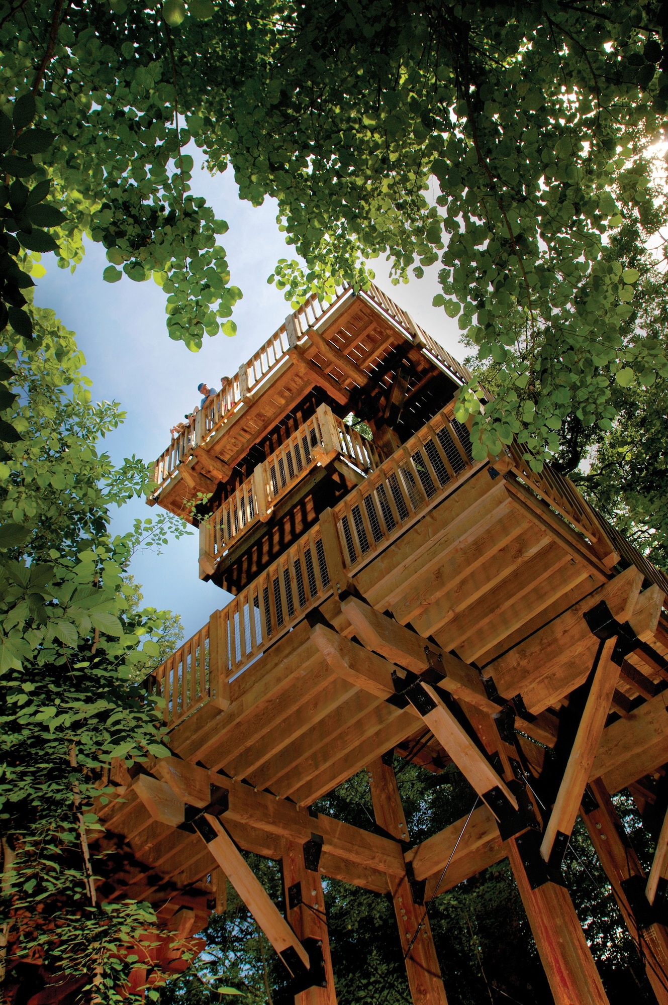 NEBRASKA CITY, Neb. -- Guests of Arbor Day Farms gets a bird's eye
view from the Canopy Tree House. With apple blossoms in full bloom,
officials at the farm said April 25 and 26 will be the perfect time for a
visit.  Photo by R. Neibel
