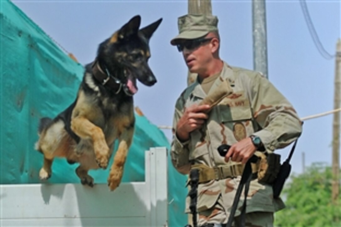 U.S. Navy Petty Officer 2nd Class Eliot Fiashi and his partner Meky, a military working dog, practice runs on an obstacle course on Camp Lemonier, Djibouti, April 16, 2009. Fiashi and Meky perform explosive/narcotic detection as well as security patrols. 