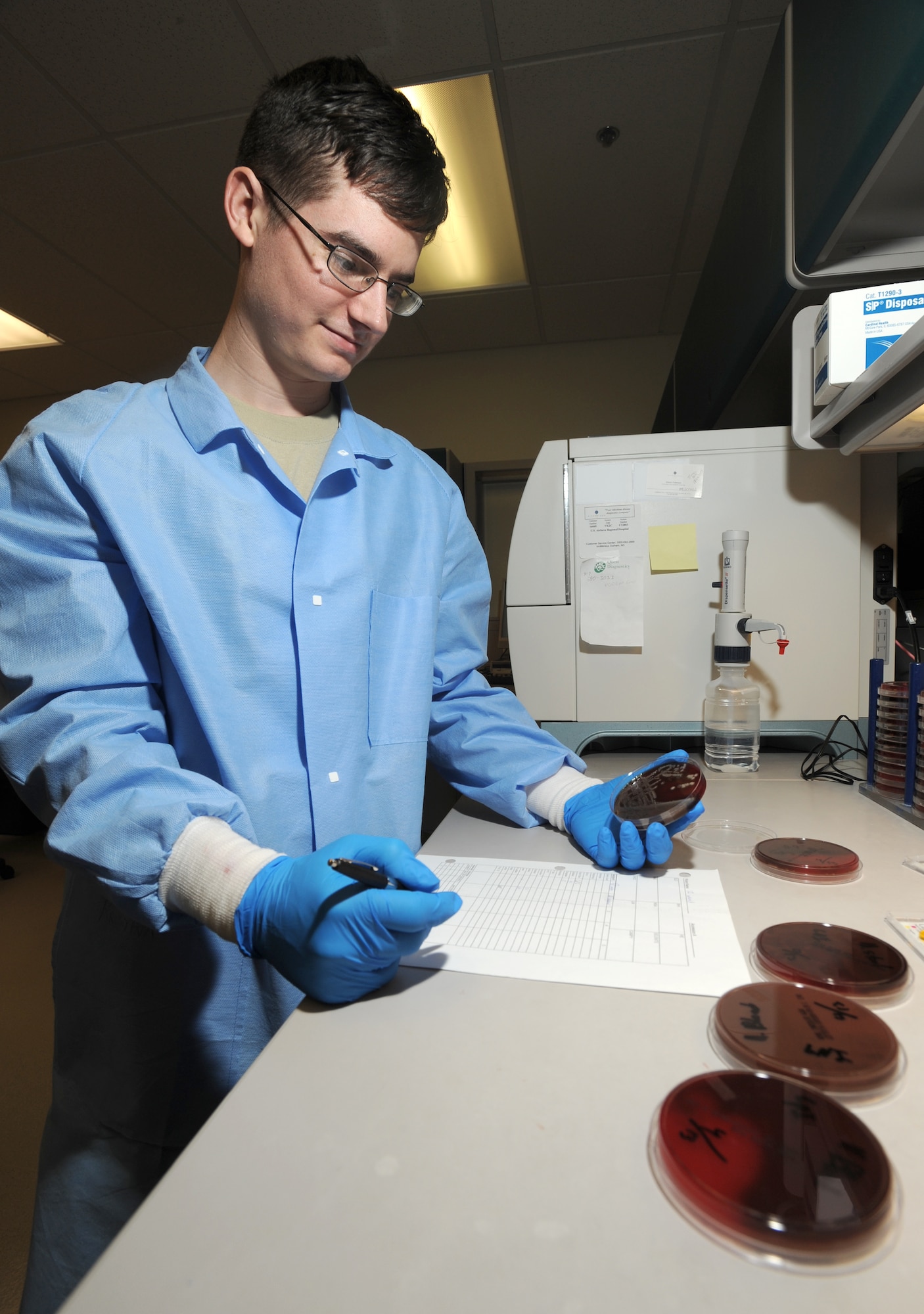 ELMENDORF AIR FORCE BASE, Alaska-- Airman 1st Class Nathan Knox of 3 Medical Support Squadron examines bacteria samples on April 15, 2009. His important role as a lab technician helps to provide proper diagnoses of diseases. (U.S. Air Force photo by Airman First Class Kristin High)