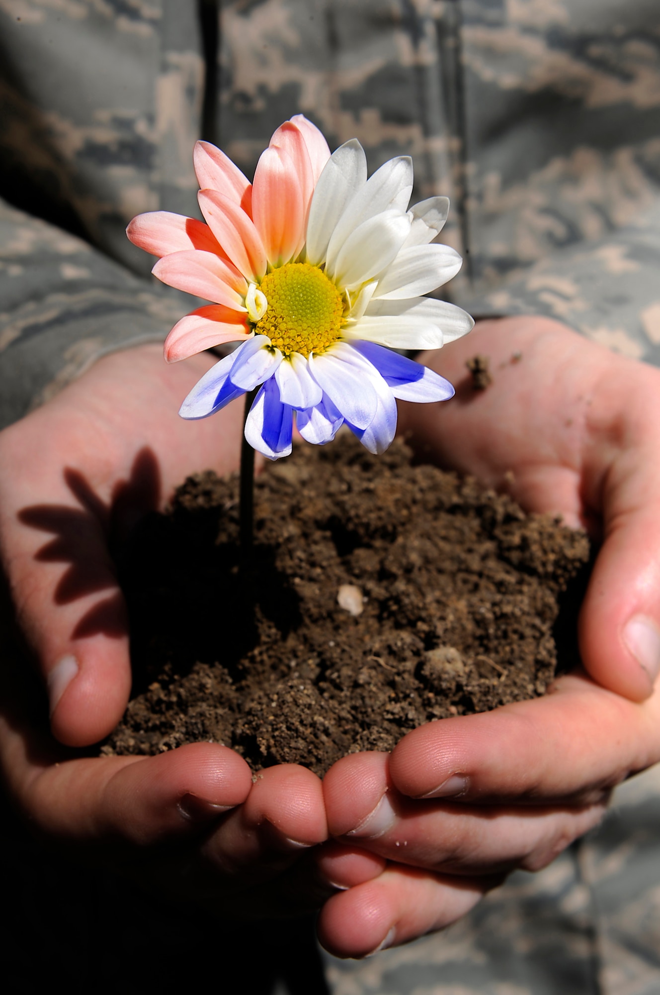April 22 is Earth Day. Through the use of pollution prevention concepts like reduce, reuse, recycle at bases worldwide, the Air Force is winning today's fight with green solutions that support and enhance operations while protecting the environment. (U.S. Air Force photo illustration/Senior Airman Marc I. Lane)