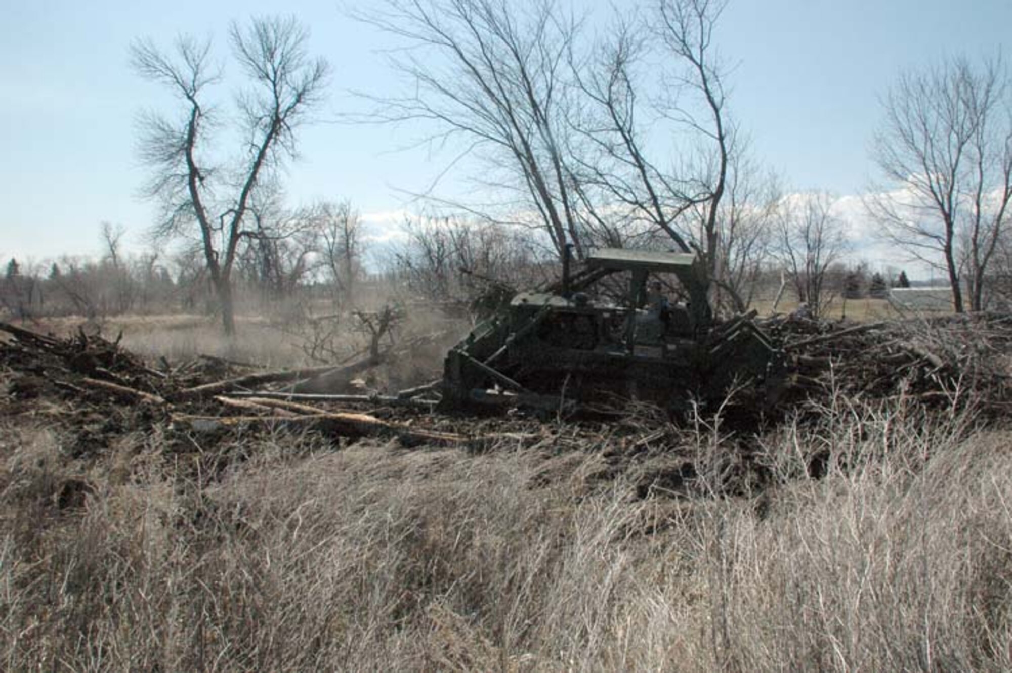 Sgt. Tobias J. Mathern, a Soldier with the 815th Engineer Company, clears a pile of trees on the north dike in Neche, N.D. The 815th has been assisting a civilian contractor since April 17 to raise the city's levee.  
