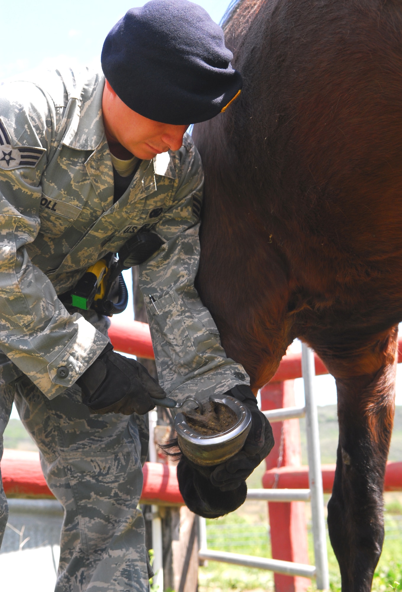 VANDENBERG AIR FORCE BASE, Calif. – Senior Airman Jeff Knoll, a 30th Security Forces Squadron conservation law enforcement officer, picks the shoe of the squadron’s horse, Willie, to promote the horse’s health and well-being. Feeding and maintaining the 30th SFS horses at the Saddle Club here is one of the many duties of Vandenberg’s conservation officers.(U.S. Air Force photo/Airman 1st Class Steve Bauer)