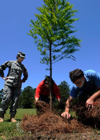 MOODY AIR FORCE BASE, Ga. -- (Left) 1st Lt. Harper Vaughan and Stormi St John, both members of the 23rd Force Support Squadron, along with John Crain, 23rd Civil Engineer Squadron, cover the base of a newly planted tree with pine straw here April 23. Two trees were planted during the event, one in honor of Earth Day, the other in honor of Holocaust Remembrance Week. (U.S. Air Force photo by Senior Airman Brittany Barker)