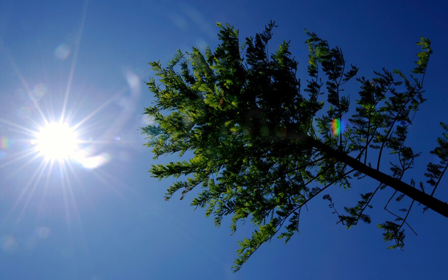 MOODY AIR FORCE BASE, Ga. -- A new tree was planted at Tree City, USA in honor of Earth Day here April 23. Moody has been an official Tree City for 10 years. (U.S. Air Force photo by Senior Airman Brittany Barker)