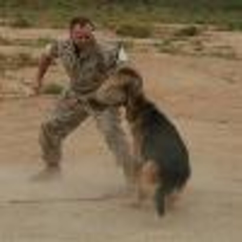 Military Police Conduct Military Operations on Urban Terrain Training. (Story by Lance Cpl. Jacob Singsank)