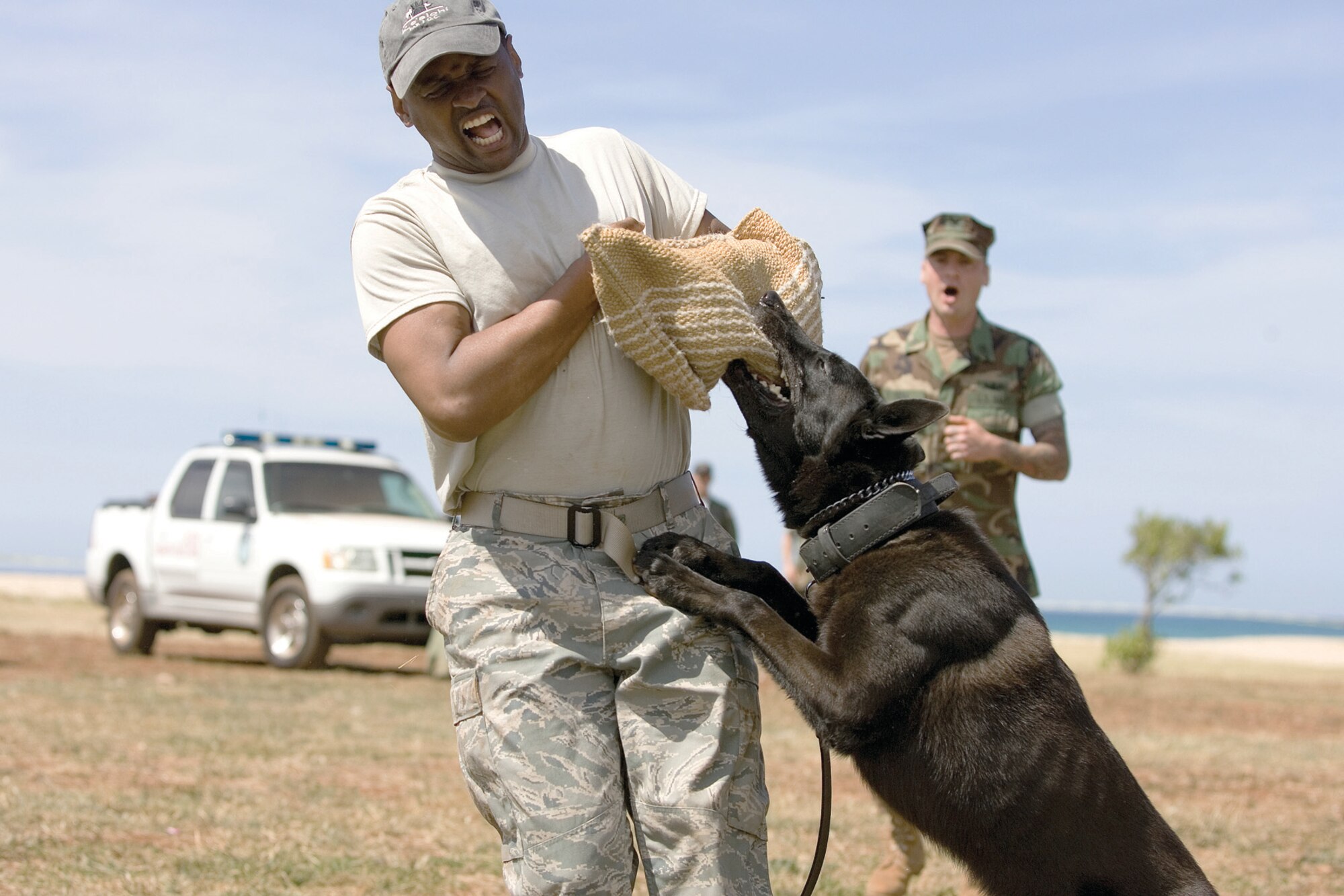 HICKAM AIR FORCE BASE, Hawaii -- Tech. Sgt. Robert Foster, out of uniform and disguised as an attacker, is given an aggressive greeting by a military working dog during a demonstration. Members of the 15th SFS MWD Section were out in force on April 18 at the Boy Scouts of America, Aloha Council Annual Oahu Makahiki at Sand Island. Sergeant Foster is a 15th Security Forces Squadron military working dog handler. (Photo by Jay Parco)
