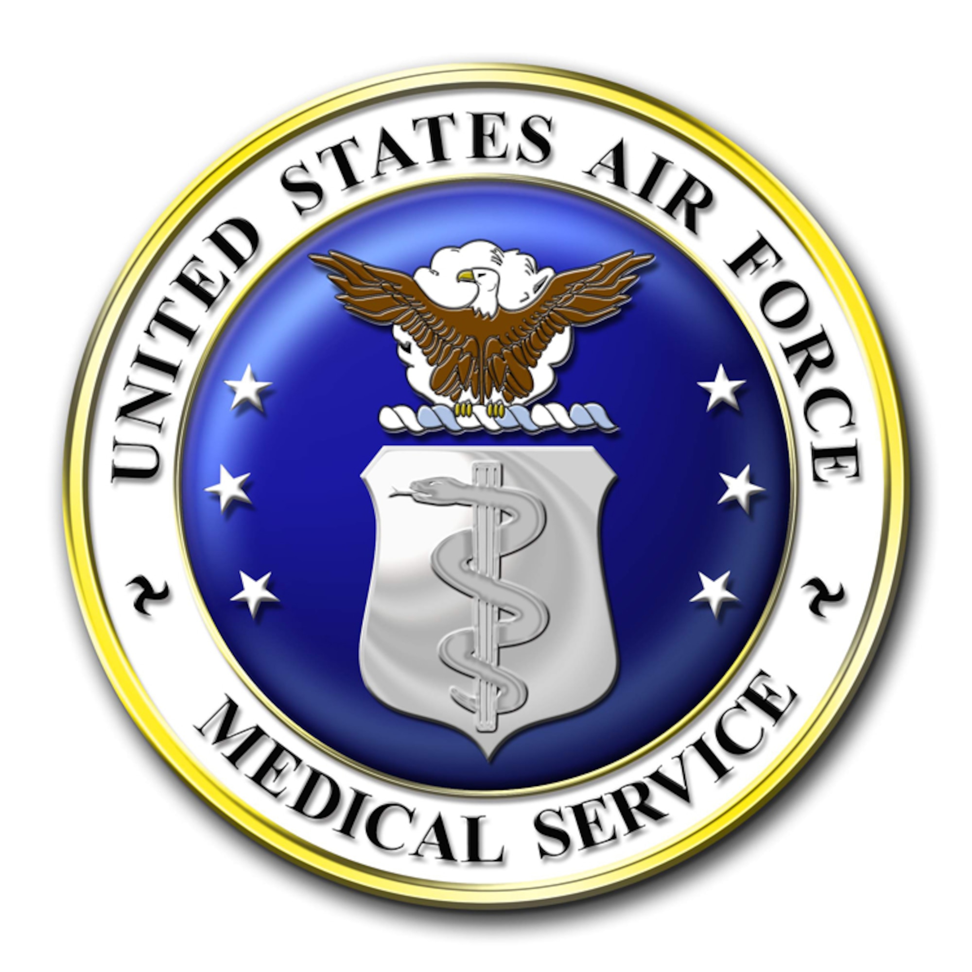 army med service insignia